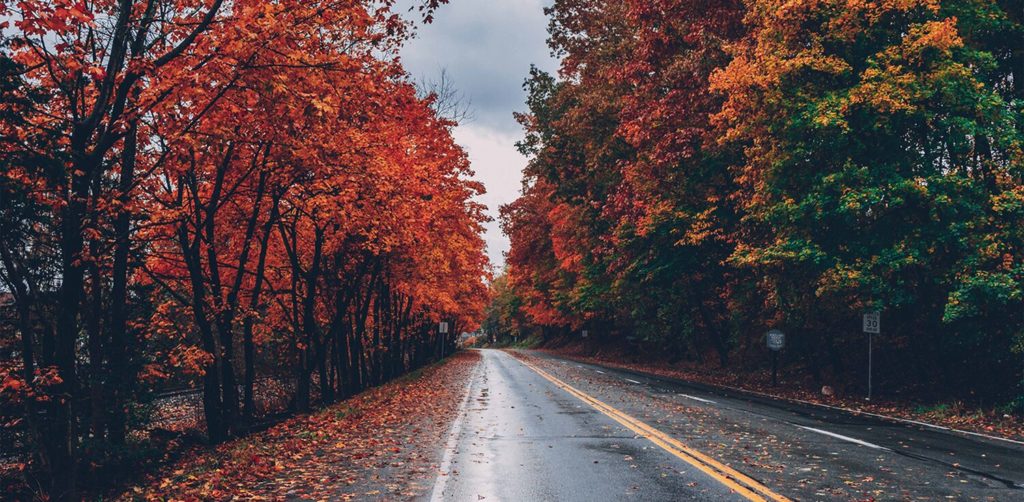 empty road in autumn